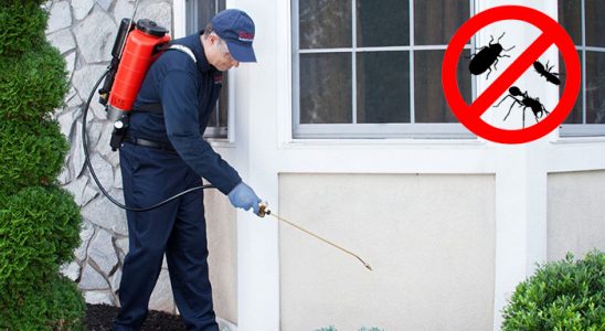 Bozyaka Kemirgen İlaçlama böcek ilaçlama ve haşere kontrolü — ilaclama-tr.com
